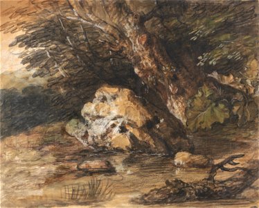 Thomas Gainsborough - A Woodland Pool with Rocks and Plants - Google Art Project