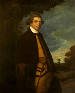Thomas Gainsborough (1727-1788) (style of) - Charles Morgan of Dderw (1736–1787) - 1553691 - National Trust
