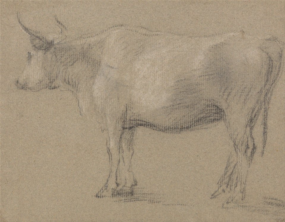 Thomas Gainsborough - Study of a Cow - Google Art Project