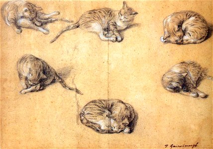 Thomas Gainsborough - Six studies of a cat - WGA08409