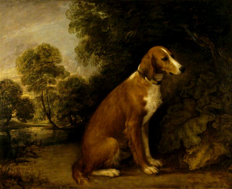 Thomas Gainsborough (1727-1788) - A Setter in a Landscape - 486293 - National Trust