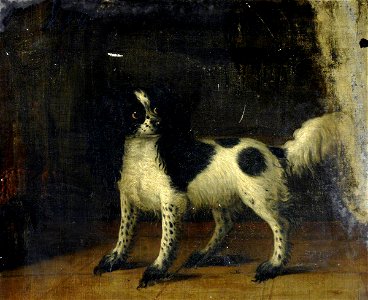 Thomas Gooch (1750-1802) - A Black and White King Charles Spaniel - 290195 - National Trust
