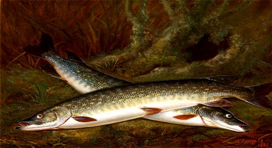 Thomas Greenslade Targett (c.1829-1891) - Dead Pike - 1257181 - National Trust