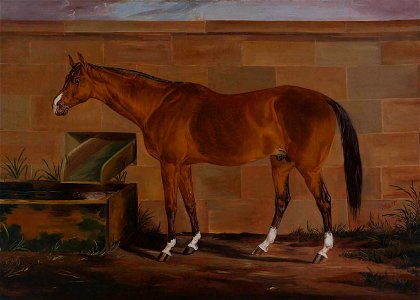Thomas J. Scott - Portrait of Lexington - 1980.137.93 - Smithsonian American Art Museum
