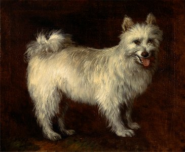 Thomas Gainsborough - Spitz Dog - Google Art Project
