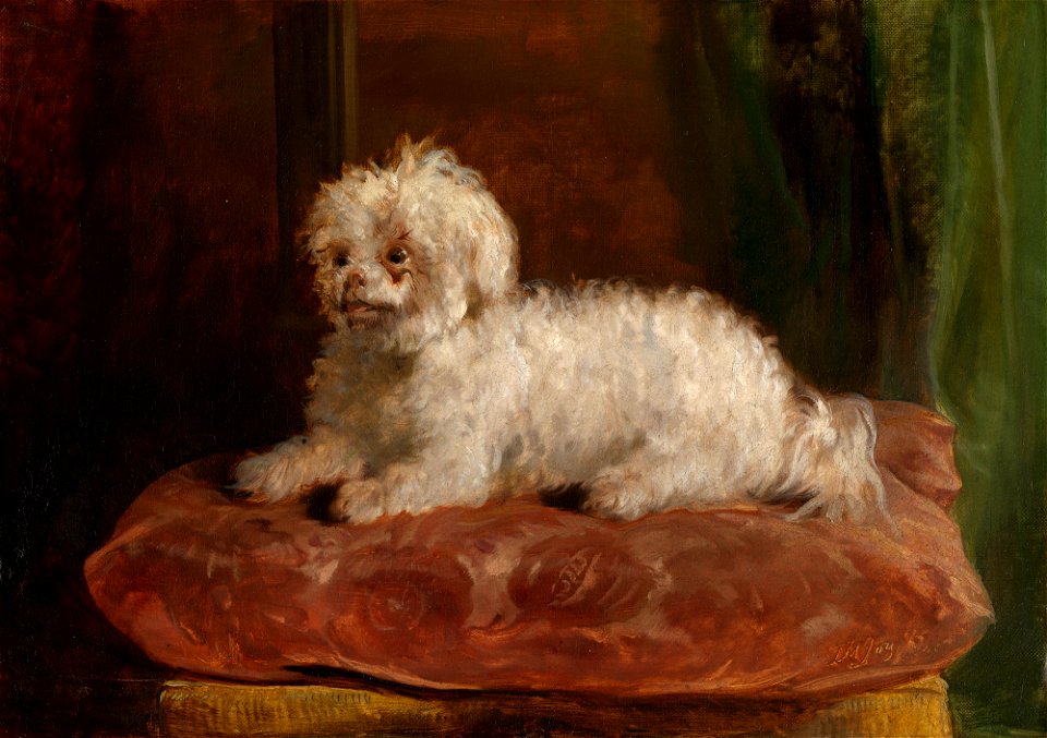 Thomas Musgrove Joy (1812-66) - Chico - RCIN 405257 - Royal Collection