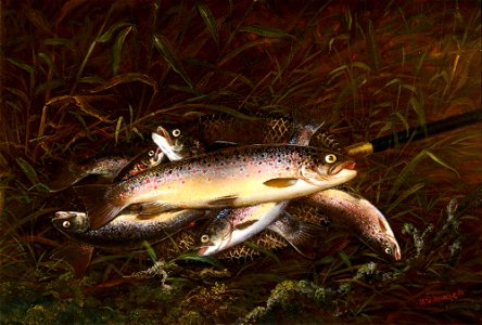 Thomas Greenslade Targett (c.1829-1891) - Dead Trout - 1257180 - National Trust