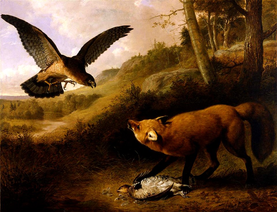 Thomas Hewes Hinckley - Disputed Game - 1981.189 - Smithsonian American Art Museum