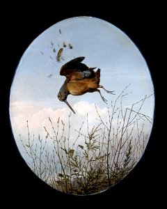 Thomas Hewes Hinckley - Woodcock - 86.354 - Museum of Fine Arts