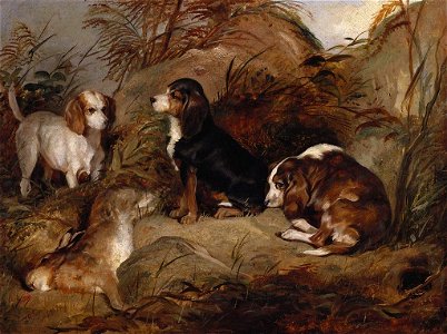 Thomas Musgrove Joy (1812-66) - Duster, Wagtail and Dandy - RCIN 405258 - Royal Collection