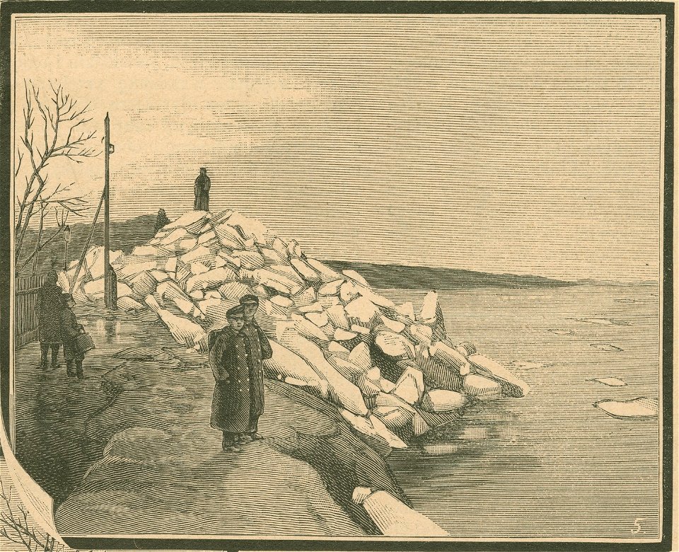 Wylew Wisły ... 5 Kra wyrzucona na bulwar prazki widok od strony mostu Rysował z natury J. A. Austen Ryt. S. Antoszewicz (77866)