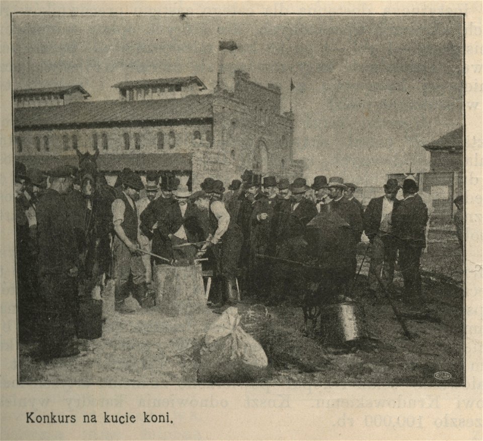 Wystawa i jarmark koni w Łazienkach- Konkurs na kucie koni (54118)