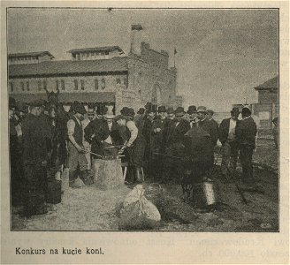 Wystawa i jarmark koni w Łazienkach- Konkurs na kucie koni (54118)