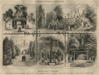 Wystawa ogrodnicza w Warszawie 1881 (58782)