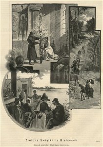 Zielone Świątki na Bielanach (59717)
