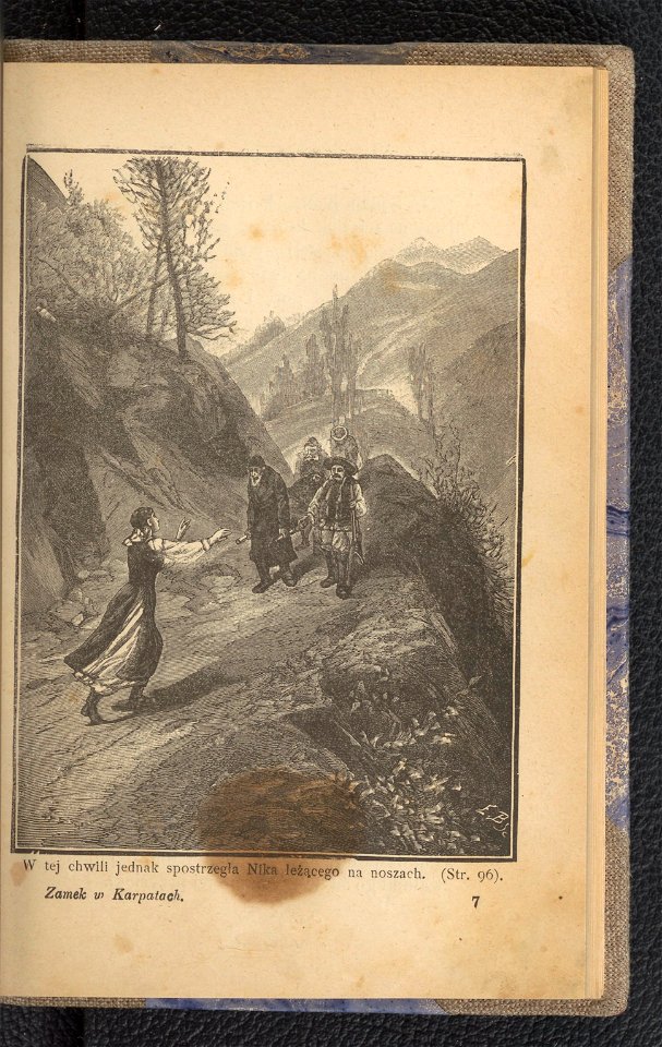 Zamek w Karpatach 1894 (102229368)