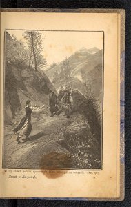 Zamek w Karpatach 1894 (102229368)