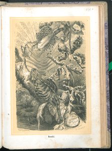 Zycie i obyczaje zwierzat 1873 (24757610)