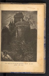 Zamek w Karpatach 1894 (102229642)
