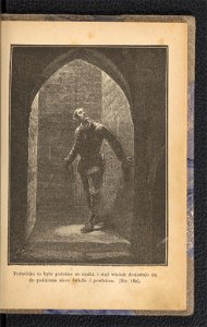 Zamek w Karpatach 1894 (102229755)