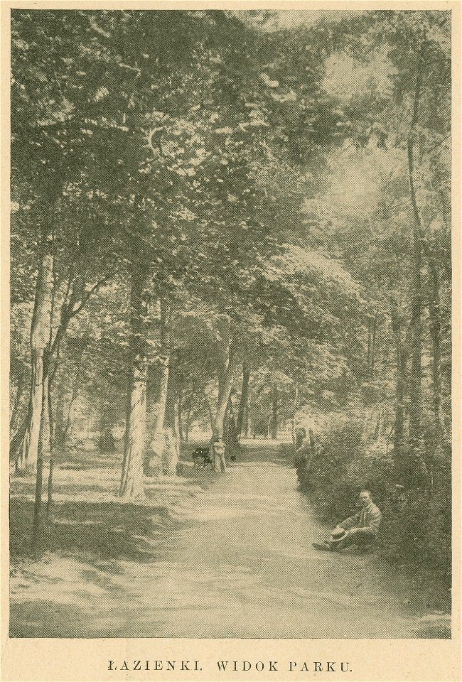 Łazienki Widok parku (80463)