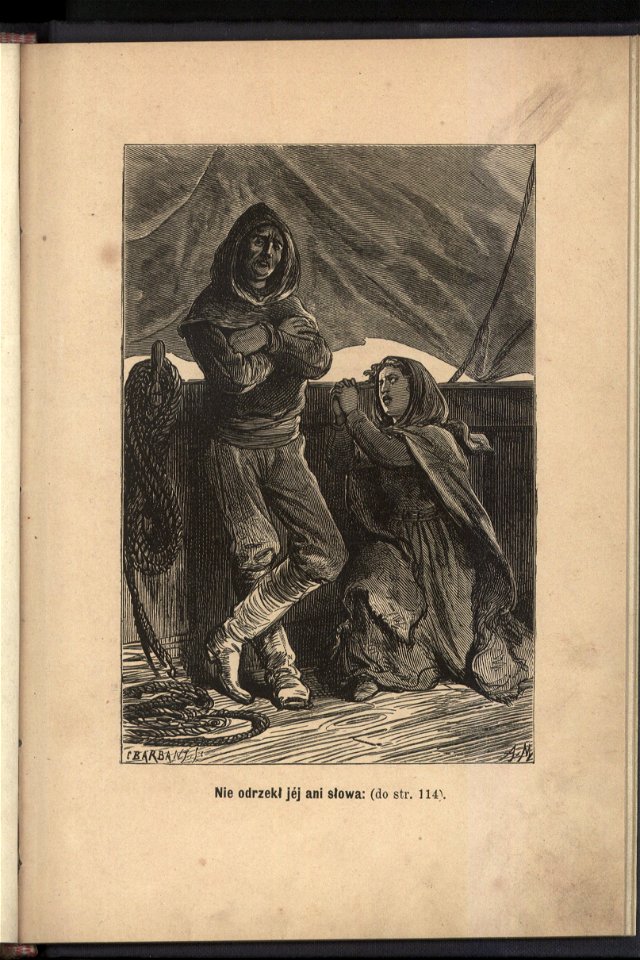 Zima posrod lodow 1880 (44974342)
