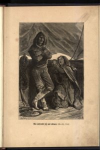 Zima posrod lodow 1880 (44974342)