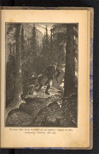 Zamek w Karpatach 1894 (102229238)