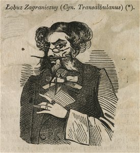 Łobuz Zagraniczny (44760)