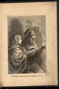 Zima posrod lodow 1880 (44974284)