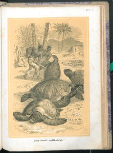 Zycie i obyczaje zwierzat 1873 (24757664)