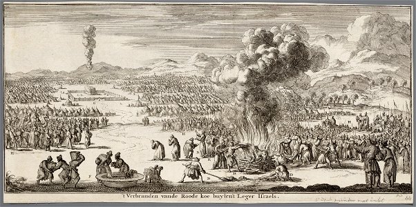 ´t Verbranden vande roode koe buyten ´t leger Israels, objectnr A 19753