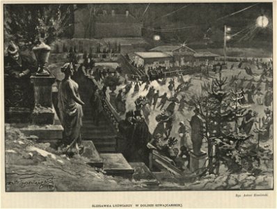Ślizgawka łyżwiarzy w Dolinie Szwajcarskiej (61382)