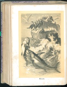 Zycie i obyczaje zwierzat 1873 (24757788)