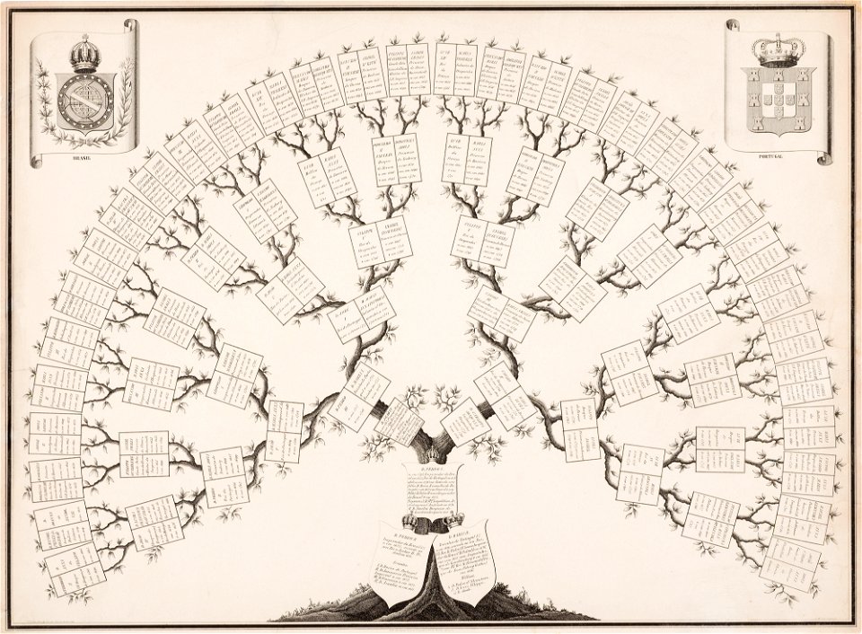 Árvore genealógica de D. Pedro I (atribuído), da Coleção Brasiliana Iconográfica