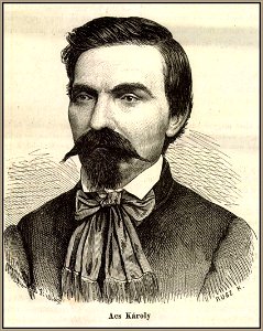 Ács Károly, 1865