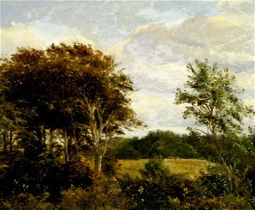 Åben plads i en skov (Dankvart Dreyer)