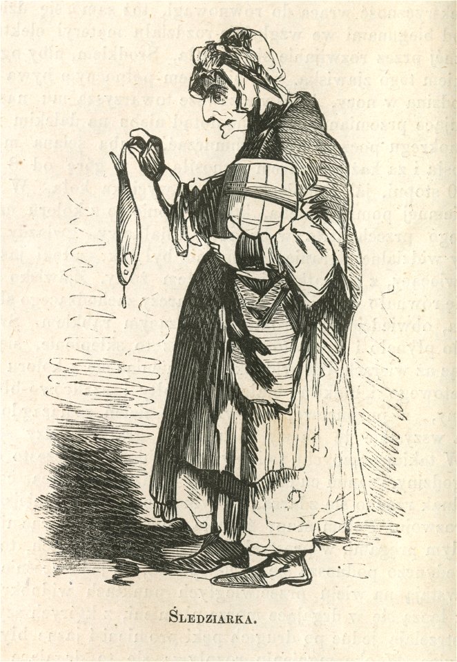 Śledziarka (43524)
