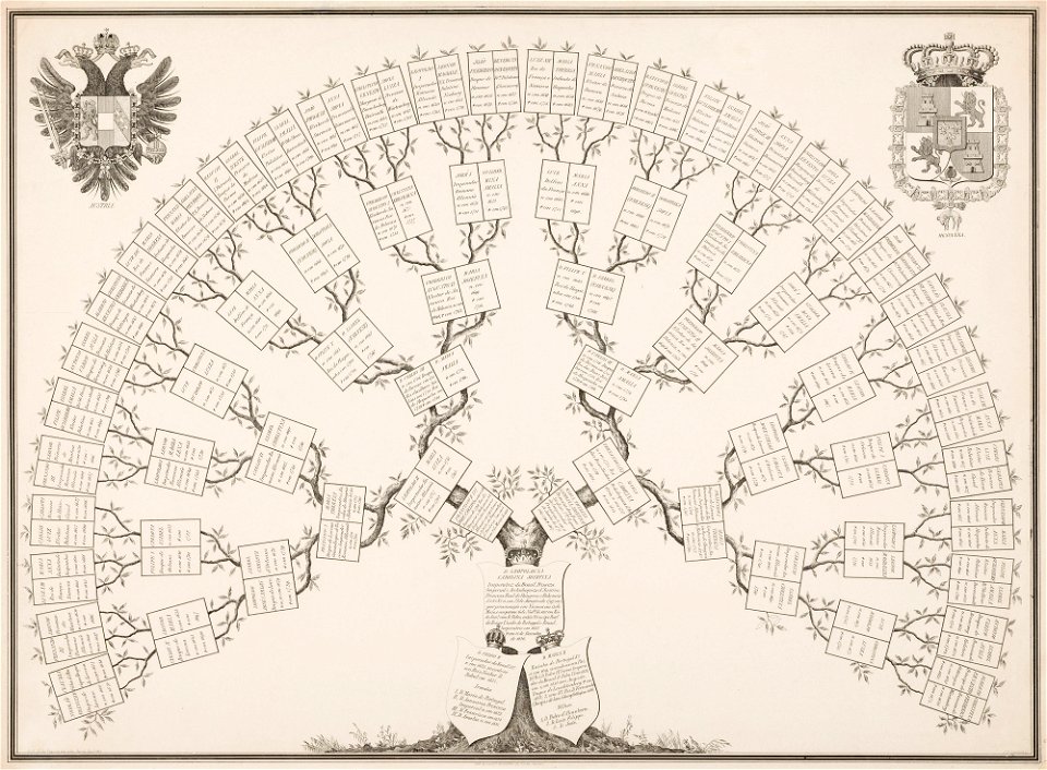 Árvore genealógica de Dona Leopoldina (atribuído), da Coleção Brasiliana Iconográfica
