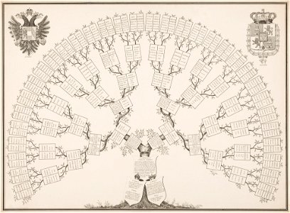 Árvore genealógica de Dona Leopoldina (atribuído), da Coleção Brasiliana Iconográfica