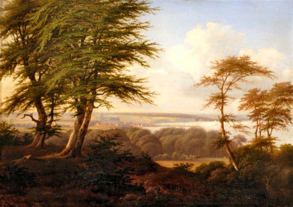Århus - set fra Moesgaard skov