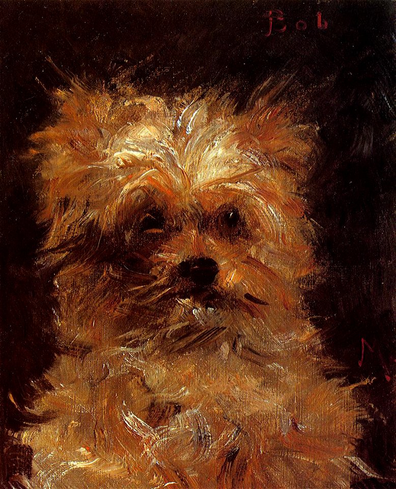 Édouard Manet - Bob, Chien Griffon
