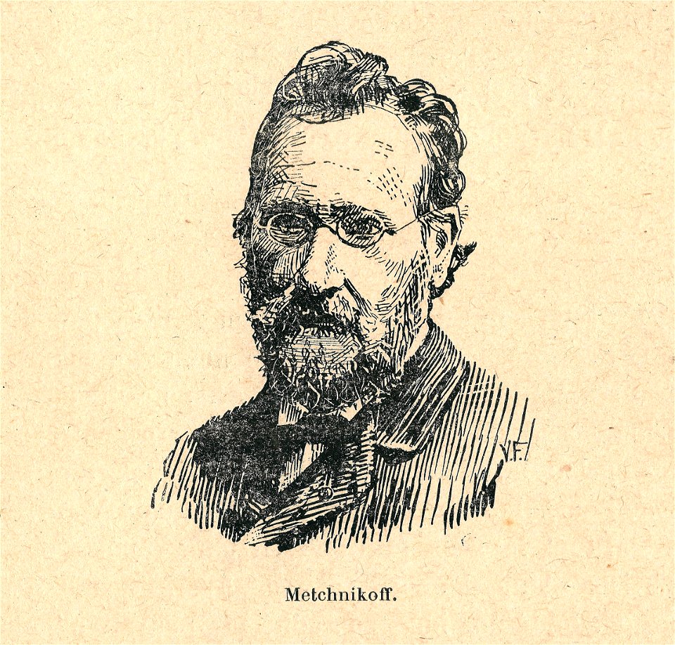 Élie Metchnikoff-portrait