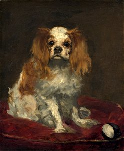 Édouard Manet - A King Charles Spaniel. Free illustration for personal and commercial use.