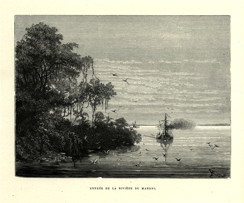 Édouard Riou - Entrée de la rivière du Maroni