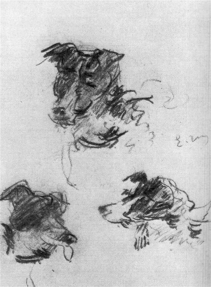 Édouard Manet - Tête de chien