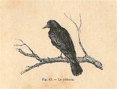 Émile Moreau-Roi et Paysan-13