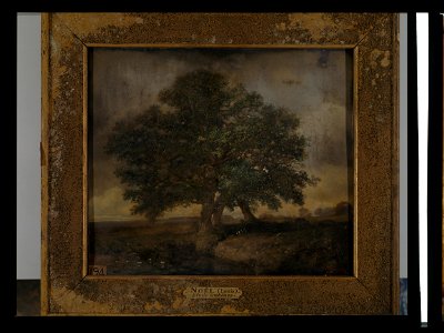 Étude de chênes - Louis Noël - musée d'art et d'histoire de Saint-Brieuc, DOC 194