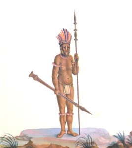 Índio Uerequena
