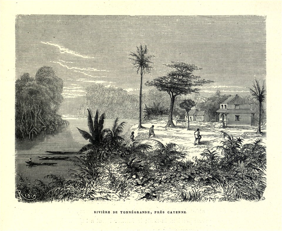Édouard Riou - Rivière de Tonnégrande, près de Cayenne